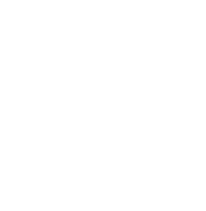 Amelia Photography Logo