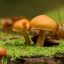 Kuchenne trendy w Polsce